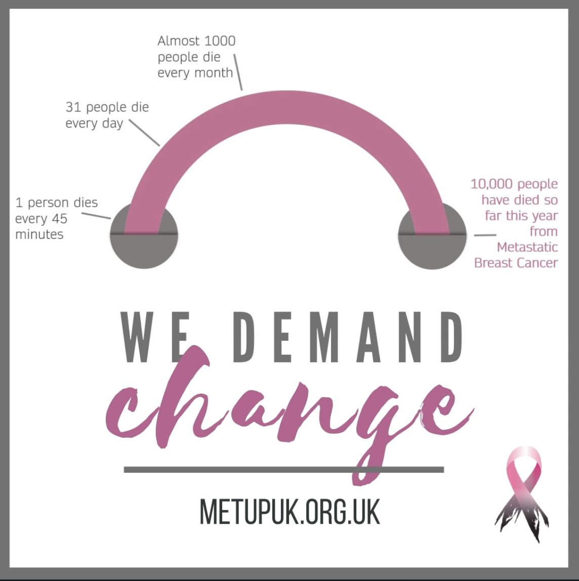 Screenshot of METUPUK graphic created by Emma Fisher